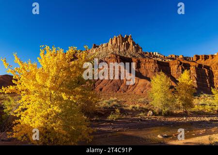 Questa è una vista del Castello, un punto di riferimento familiare nel Capitol Reef National Park, Wayne County, Utah, USA con colori autunnali lungo il fiume Fremont. Foto Stock