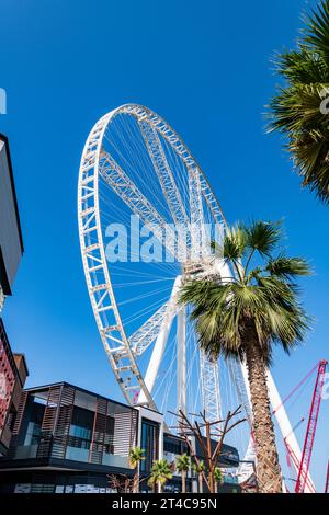 Emirati Arabi Uniti, Dubai, 8 dicembre 2018. AIN Dubai, la ruota panoramica più alta, alta 250 m. Conosciuto anche come Dubai Eye. In costruzione. Foto Stock