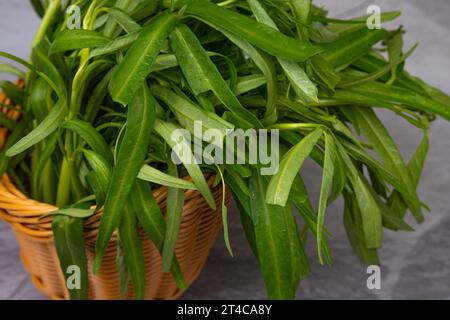 Fresh Morning Glory per hot pot, yakiniku, sukiyaki e shabu usati Foto Stock