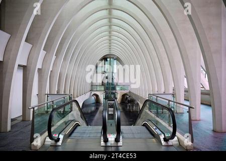 Stazione di Liege-Guillemins, scale mobili in stile industriale moderno, Belgio, Wallonie, Luettich Foto Stock