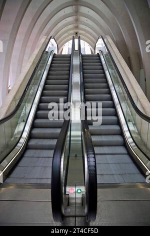 Stazione di Liege-Guillemins, scale mobili in stile industriale moderno, Belgio, Wallonie, Luettich Foto Stock