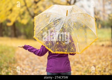 Vista posteriore di una donna con un ombrello che cammina in un parco durante un autunno piovoso. Foto Stock