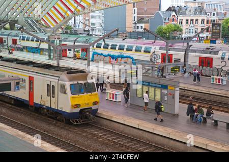 Stazione Liege-Guillemins in moderno stile industriale, Belgio, Wallonie, Luettich Foto Stock