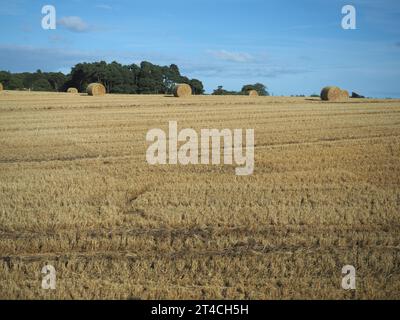 Panorama delle Lowlands scozzesi tra Dundee e Aberdeen Foto Stock