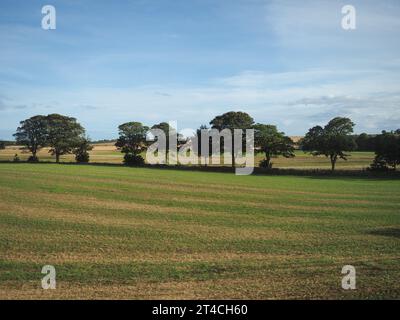 Panorama delle Lowlands scozzesi tra Dundee e Aberdeen Foto Stock