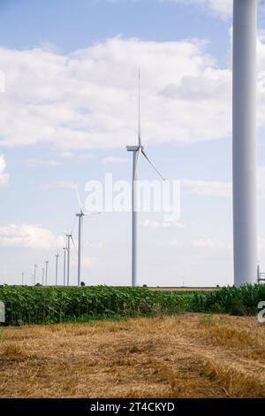 Campo agricolo con turbine eoliche. Foto Stock