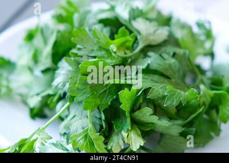 Chiudere un mazzo macro di foglie di prezzemolo fresche all'interno del recipiente. Foto Stock