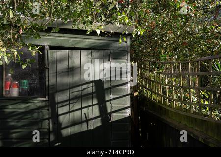 La luce del sole crea ombre diagonali sui pannelli di un capannone del giardino del sud di Londra, il 27 ottobre 2023, a Londra, in Inghilterra. Foto Stock