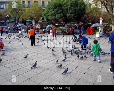 Gente in Piazza Murillo a la Paz, Bolivia Foto Stock