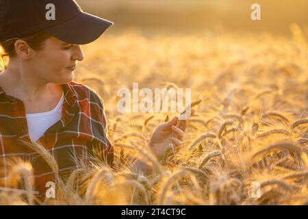 La contadina tocca le orecchie del grano su un campo agricolo. Foto Stock