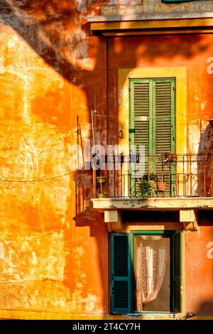 Ombra di un albero su un tradizionale condominio romano nel quartiere Garbatella, Roma, Italia Foto Stock