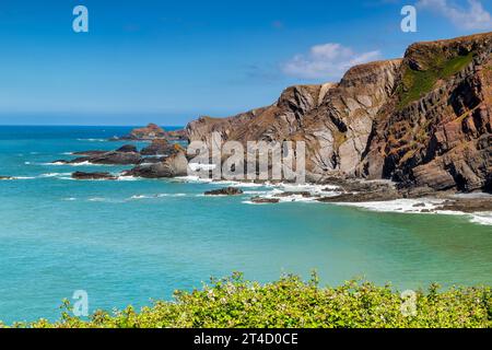 Impressionanti scogliere a Hartland Quay, Devon, Regno Unito, in un bellissimo pomeriggio estivo. Concentrati sul rock. Foto Stock