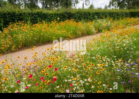 Piante annuali estive dai colori vivaci al giardino RHS Bridgewater a Worsley, Salford, Manchester, Inghilterra. Foto Stock