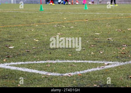 Linee bianche e gialle su un campo da calcio in erba artificiale in una sessione di allenamento durante l'autunno in cui è possibile vedere le foglie cadute Foto Stock