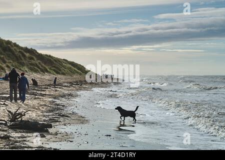 Camminatori e cani sulla spiaggia di St Annes durante l'alta marea Foto Stock