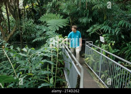 Fern Canyon, il San Diego Zoo, Balboa Park, San Diego, California Foto Stock