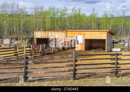 Braeburn Lodge è un roadhouse sulla Klondike Highway nel territorio canadese dello Yukon. Si trova ad est del lago Braeburn e a nord di Braeburn Moun Foto Stock