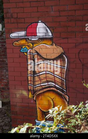 Graffiti lungo il canale Rochdale nel centro di Manchester Foto Stock