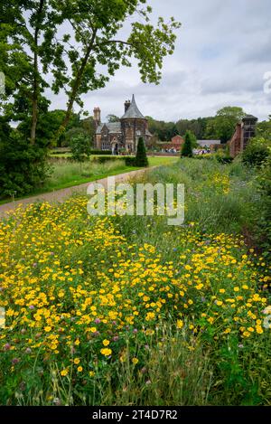 Fiori selvatici, tra cui calendule di mais gialle al giardino RHS Bridgewater a Worsley, Salford, Manchester, Inghilterra. Foto Stock