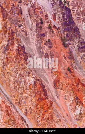 Grand Canyon lungo il fiume nel Parco Nazionale di Yellowstone Foto Stock