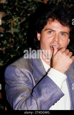 DONNIE OSMOND ; cantante, musicista e attore americano ; ritratto, conferenza stampa ; circa 1980s ; Credit : Lynn McAfee / Performing Arts Images ; www.performingartsimages.com Foto Stock