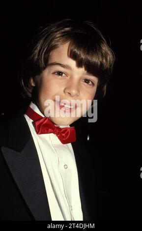 JOEY LAWRENCE ;(nato il 20 aprile 1976) ; attore, musicista, cantautore americano, produttore discografico, podcaster e conduttore del game show ; 1986 ; Credit: Lynn McAfee / Performing Arts Images www.performingartsimages.com Foto Stock