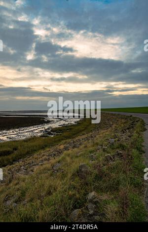 Un sentiero di diga leggermente curvilineo corre lungo il Mare di Wadden sulla costa del Mare del Nord vicino a Bensersiel. La luce soffusa della sera si riflette sulle piane mareali, sulle erbe A. Foto Stock