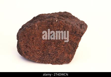 La torba è una specie di carbone giovane formato principalmente con resti di muschio (Sphagnum). Campione. Foto Stock