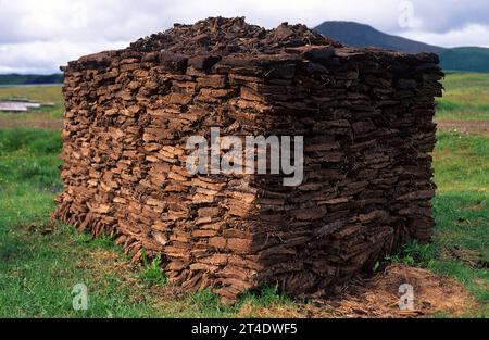La torba è un tipo di carbone giovane formato principalmente da resti di muschio (Sphagnum). Questa foto è stata scattata in Islanda. Foto Stock
