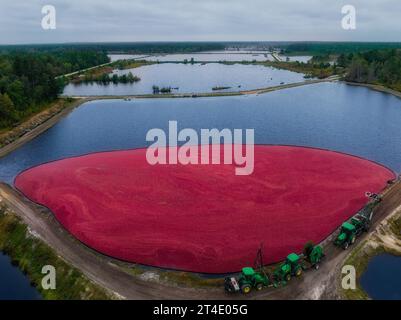 Harvested Cranberries NJ - Vista aerea di una palude allagata nella zona meridionale del New Jersey. Foto Stock