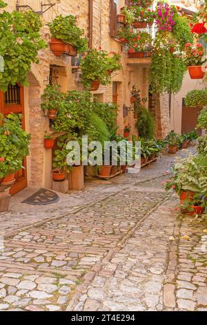 Strade floreali nella tradizionale città medievale italiana di Spello, Perugia. Regione Umbria Foto Stock