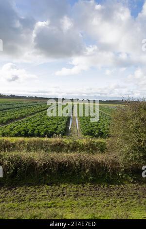 La pioggia ha inondato i campi di Hesketh Bank tra Preston e Southport visti dal King Charles 3rd England Coast Path Lancashire England Foto Stock