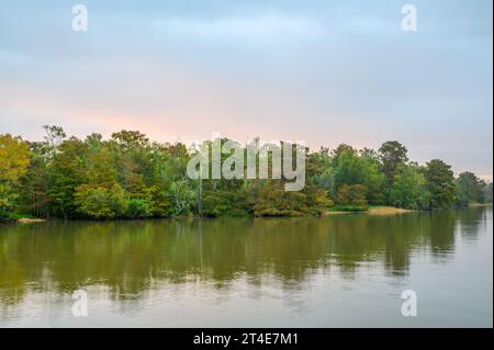 Alberi sulla costa del lago Fausse Pointe nel bacino del fiume Atchafalaya all'alba Foto Stock