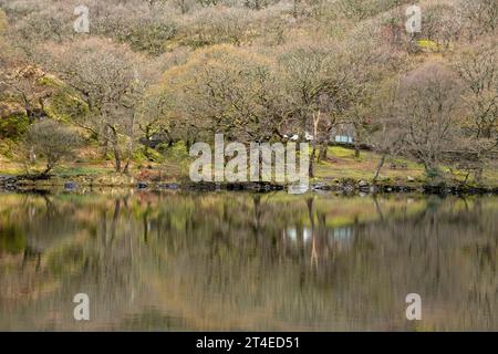 Riflessioni catturate in un giorno primaverile a Llyn Dinas, Gwynedd Snowdonia Galles Regno Unito Foto Stock