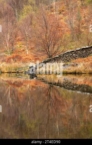 Riflessioni catturate in un giorno primaverile a Llyn Dinas, Gwynedd Snowdonia Galles Regno Unito Foto Stock