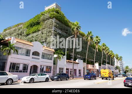 Miami Beach Florida, esterno, edificio, parcheggio auto 7th Seventh e Collins Avenue Parking Garage, fioriere autoctone coperte, sostenibilità Foto Stock