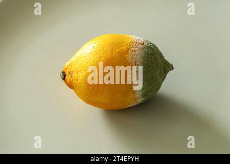 Limone in putrefazione. Un intero limone viziato da un lato. Il prodotto è rovinato. Foto Stock