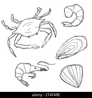 Set di frutti di mare disegnati a mano. Icone decorative Squid, Octopus, salmone, ostriche, capesante, aragosta, persico rosso, granchi e cozze illustrazione vettoriale Illustrazione Vettoriale