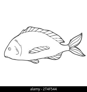 Disegno a mano di pesce vettoriale, illustrazione vintage in bianco e nero del pesce salmone. Oggetto isolato su sfondo bianco. Illustrazione Vettoriale