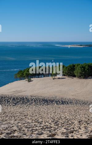 Vista dalla Duna di Pilat la duna di sabbia più alta d'Europa situata a la teste-de-Buch nell'area della baia di Arcachon, in Francia a sud-ovest di Bordeaux lungo Atla Foto Stock