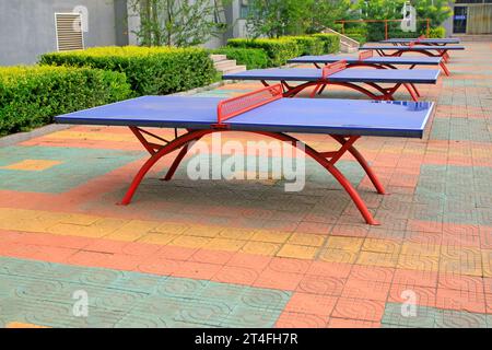 Ping pong nel campus, primo piano della foto Foto Stock