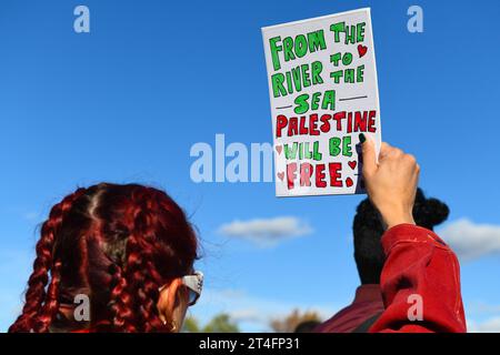 A Montreal, in Canada, una moltitudine di manifestanti uniti in solidarietà con i palestinesi, chiedendo con fervore un cessate il fuoco urgente a Gaza, 28 ottobre 2023 Foto Stock