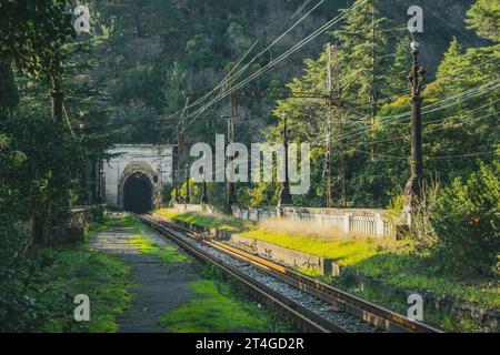 Vecchia ferrovia che passa attraverso un tunnel abbandonato nei boschetti di una foresta umida. Foto Stock
