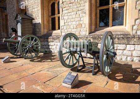 Torre di Londra, Armaments cannoni della Battaglia di Waterloo posizionati all'esterno delle caserme di Waterloo, Torre di Londra, Inghilterra, Regno Unito, settembre 2023 Foto Stock