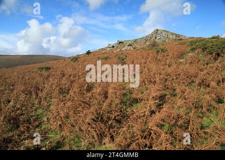 Bell tor autunno view, vicino a Widecombe, Dartmoor, Devon, Inghilterra, REGNO UNITO Foto Stock