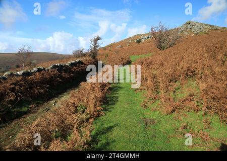 Bell tor autunno view, vicino a Widecombe, Dartmoor, Devon, Inghilterra, REGNO UNITO Foto Stock