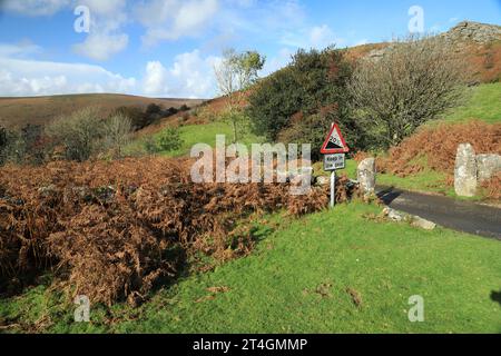 Bell tor autunno view, vicino a Widecombe, Dartmoor, Devon, Inghilterra, REGNO UNITO Foto Stock