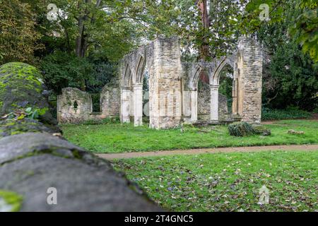 Rovine dell'abbazia di Abingdon Foto Stock