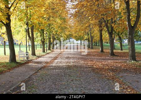 Blick am Montag 30.10.2023 a Dargun Landkreis Mecklenburgische Seenplatte auf eine herbstliche Stimmung im örtlichen Park der Kloster- und Schlossanlage. Die monumentale Anlage ging seinerzeit aus einen Zisterzienserkloster hervor. Zunächst gründeten 1172 Zisterziensermönche am heutigen Ort des Gebäudes ein Kloster. Später baute man die Klosteranlage zu einem Schloss um. 1945 wurde der Schlosskomplex ein Opfer von Brandstiftung. Nach der Wende begann man die Gebäude zu sichern und intensiv zu nutzen. Mittlerweile finden rund um die Kloster -und Schlossanlage zahlreiche Veranstaltungen statt. Foto Stock