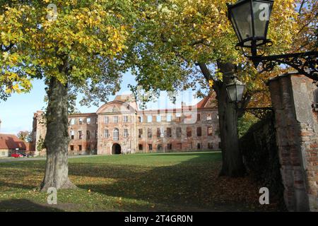 Blick am Montag 30.10.2023 a Dargun Landkreis Mecklenburgische Seenplatte auf eine herbstliche Stimmung im örtlichen Park der Kloster- und Schlossanlage. Die monumentale Anlage ging seinerzeit aus einen Zisterzienserkloster hervor. Zunächst gründeten 1172 Zisterziensermönche am heutigen Ort des Gebäudes ein Kloster. Später baute man die Klosteranlage zu einem Schloss um. 1945 wurde der Schlosskomplex ein Opfer von Brandstiftung. Nach der Wende begann man die Gebäude zu sichern und intensiv zu nutzen. Mittlerweile finden rund um die Kloster -und Schlossanlage zahlreiche Veranstaltungen statt. Foto Stock